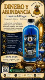 Limpia Pisos Dinero y Abundancia – Limpieza Espiritual del Hogar para Prosperidad, Riqueza y Caminos Abiertos - Imagen 2